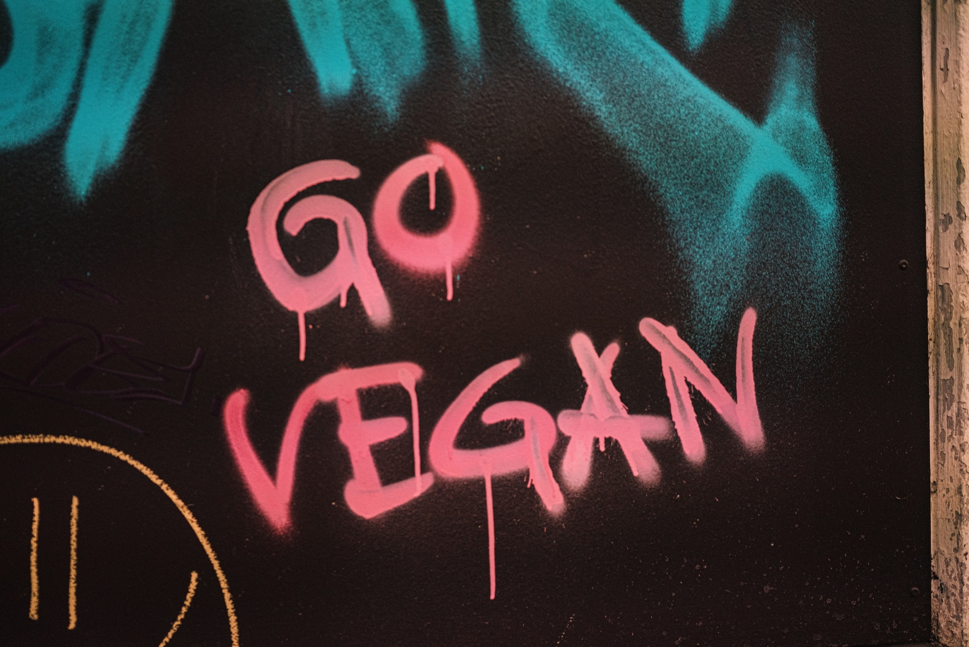 weganizm