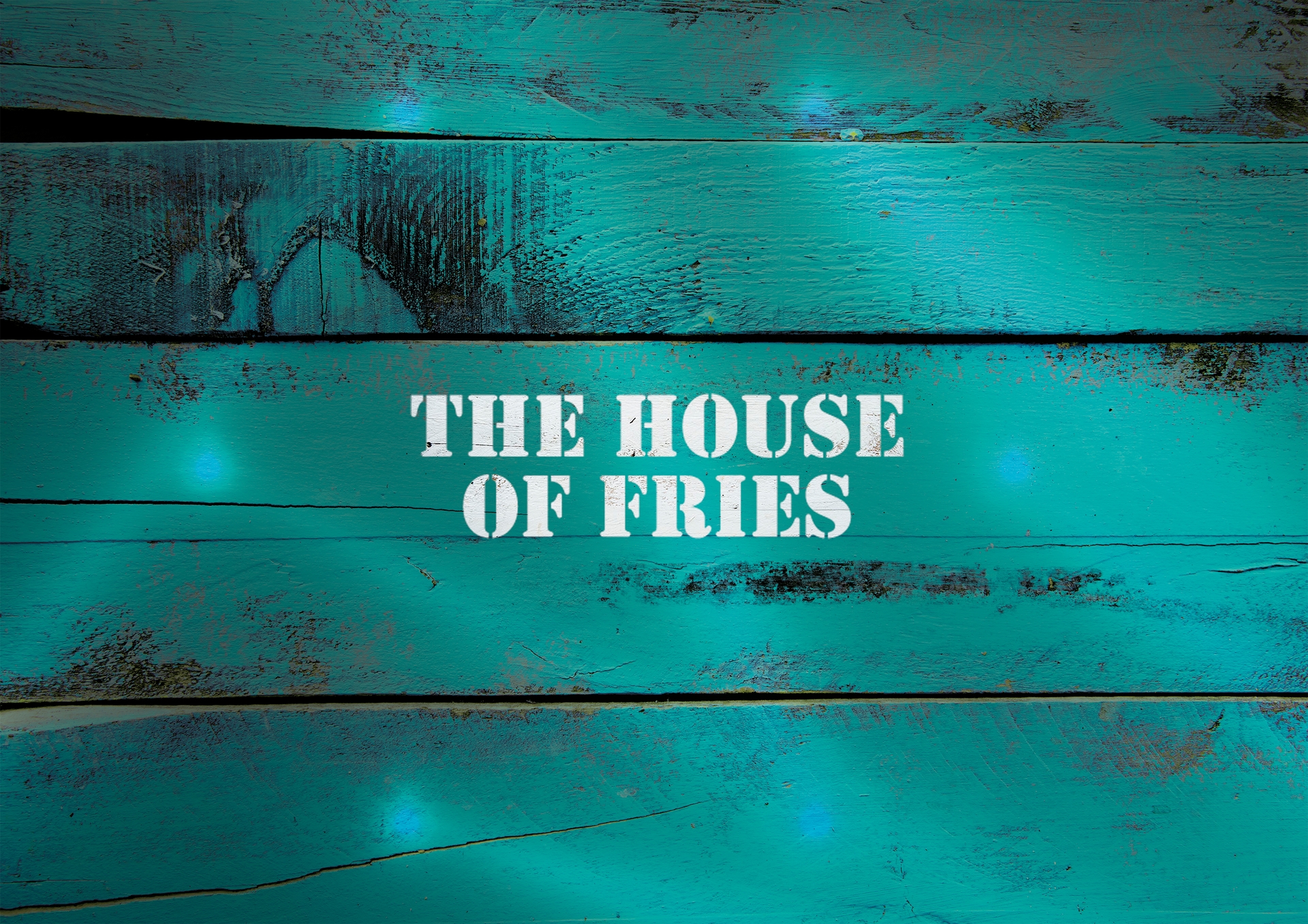 house-of-fries-aviko