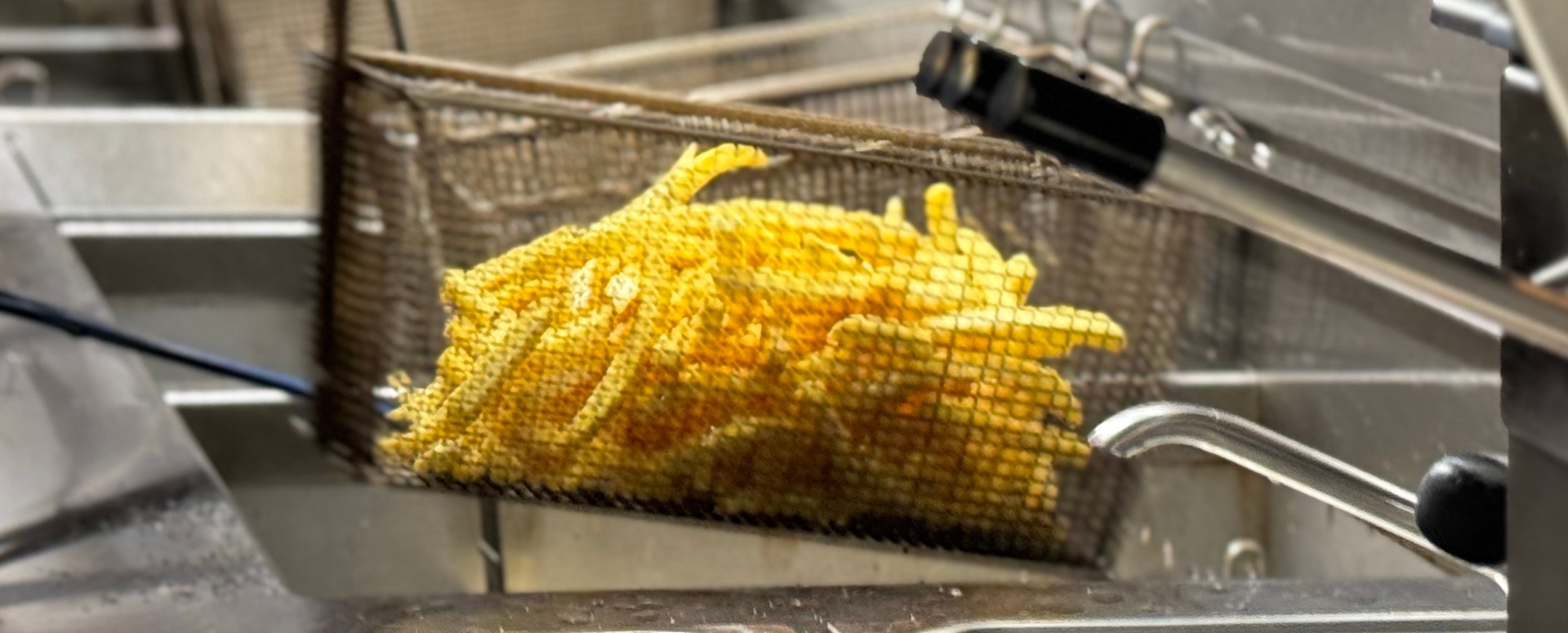 AVFS-240193-01 House of Fries website - Image Block - 1920x755px2